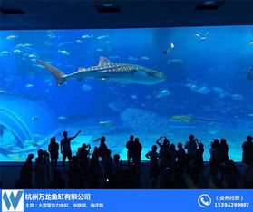 杭州大型亞克力魚缸設計公司及廠家推薦 全景展示，打造水中藝術